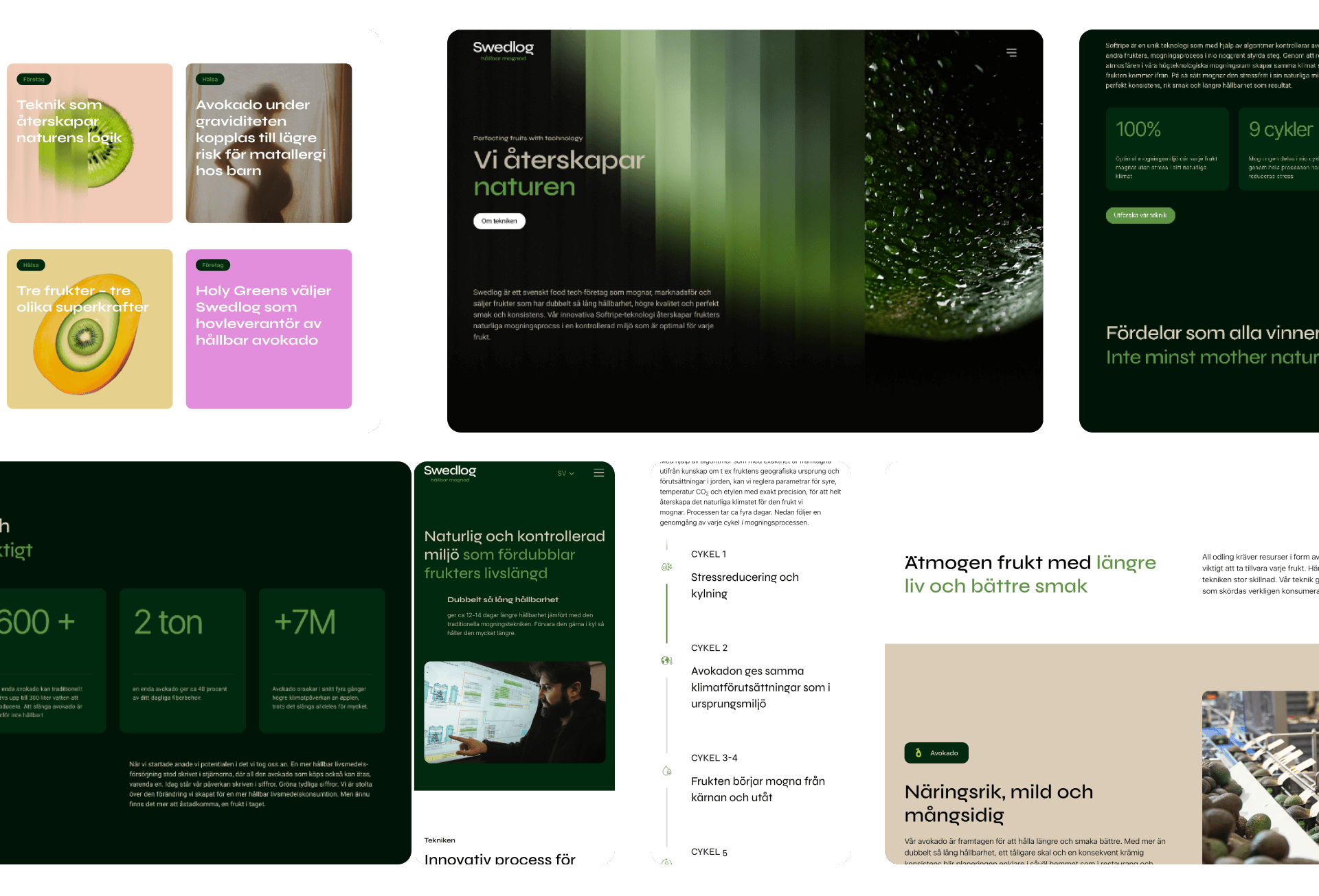 Swedlog-case-webbscreens Startsidan av Swedlogs nya hemsida.