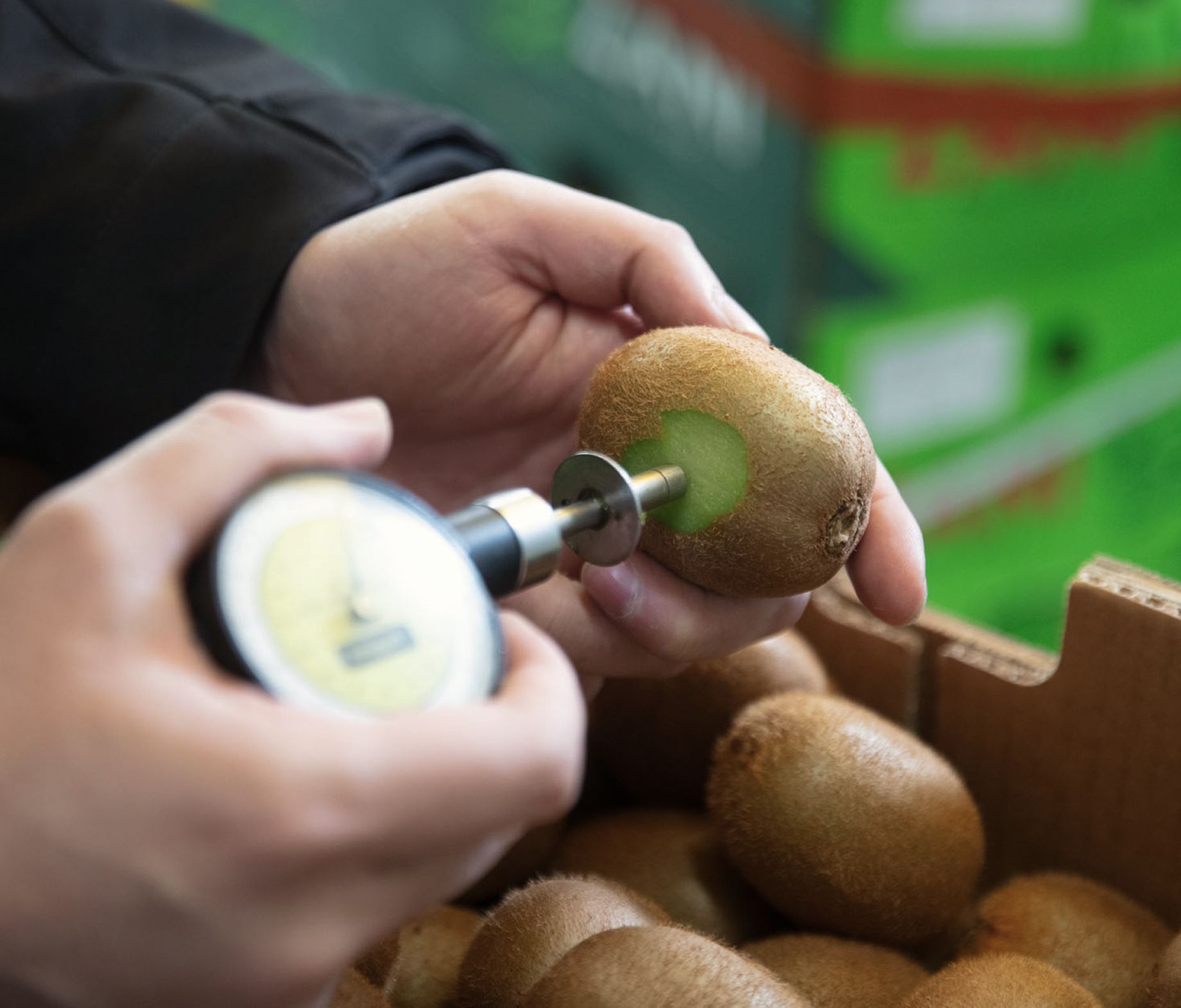 Testing-kiwi Perfekt delad avokado.